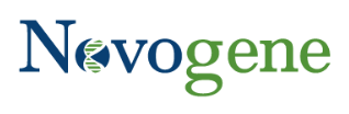 Novogene